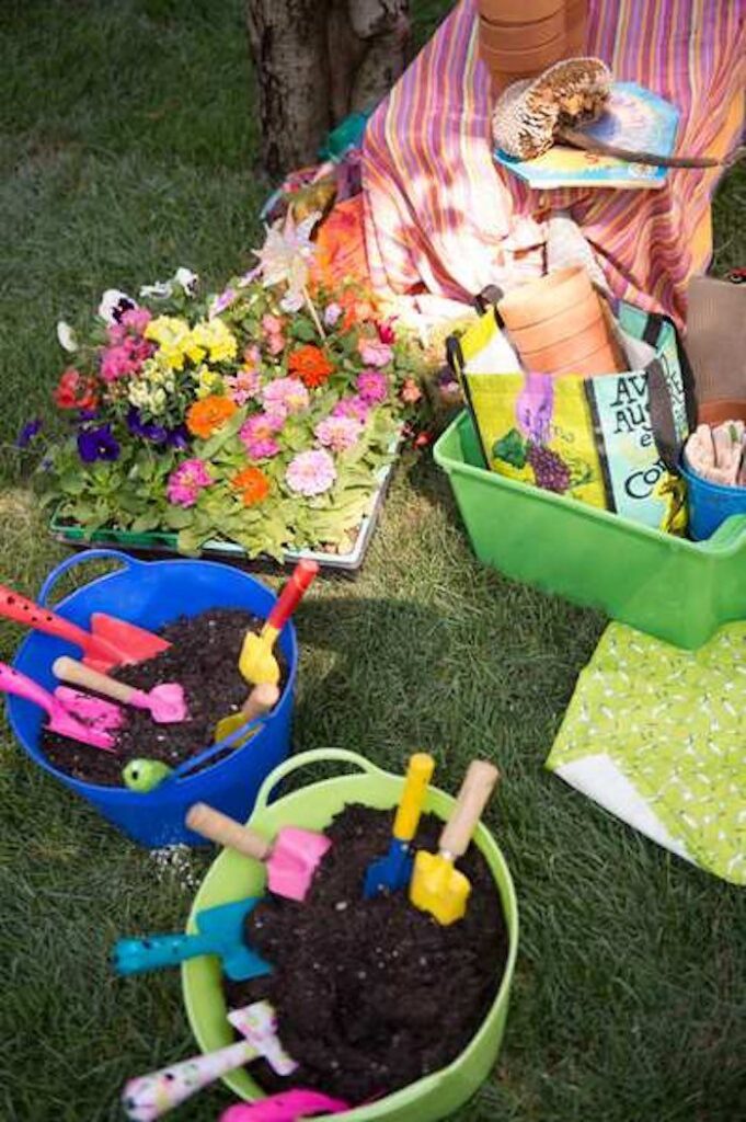 Plant The Seeds In The Mud